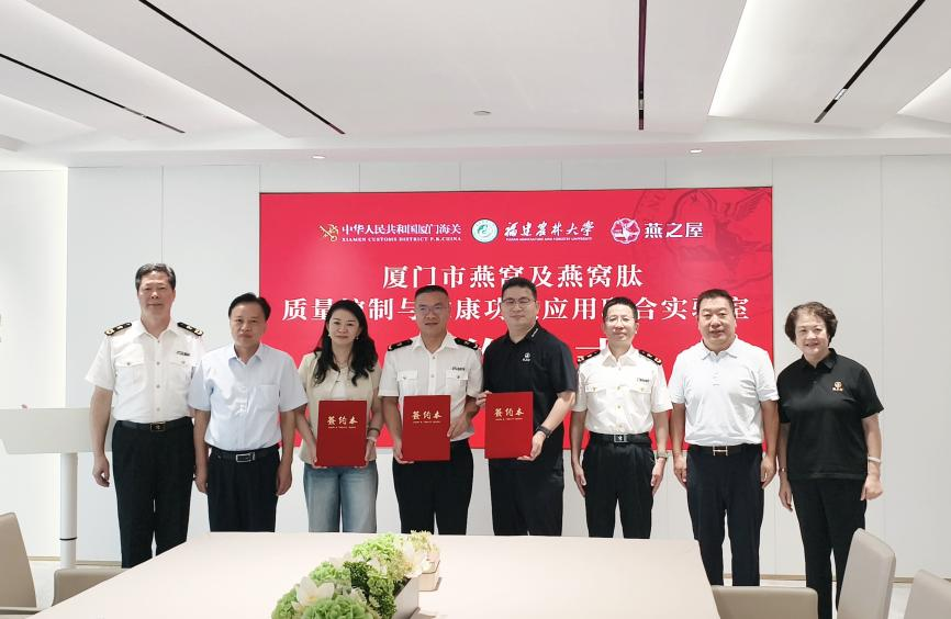 333体育-全网最有氛围的体育赛事直播平台