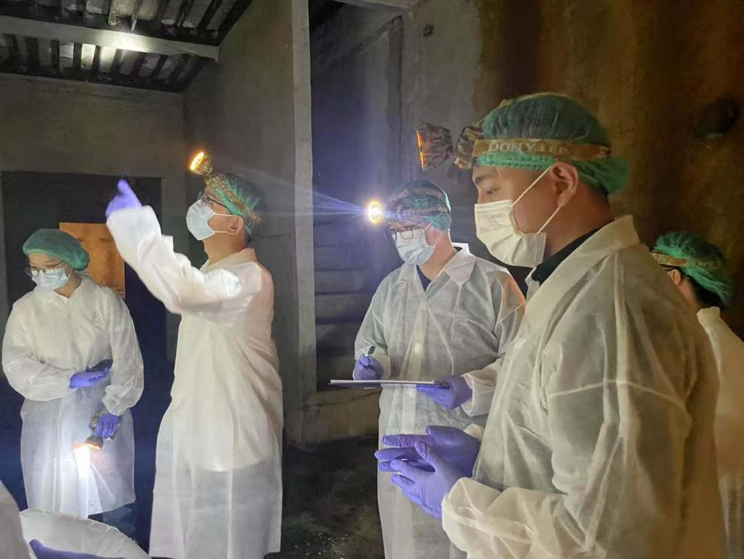 333体育-全网最有氛围的体育赛事直播平台