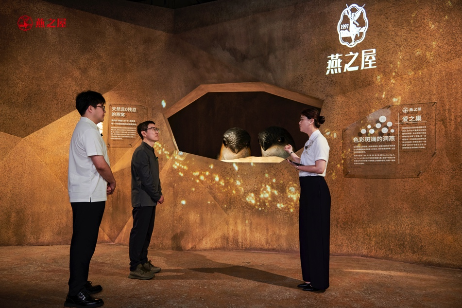 333体育-全网最有氛围的体育赛事直播平台